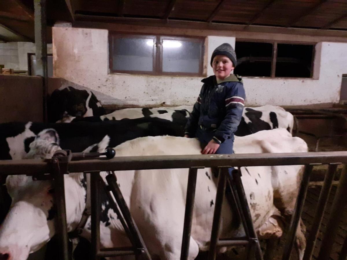Schweiggerhof -Agriturismo- Farm Holidays Villandro Dış mekan fotoğraf