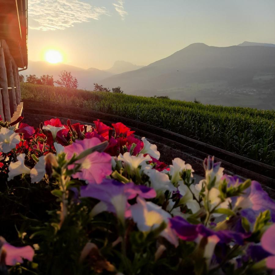 Schweiggerhof -Agriturismo- Farm Holidays Villandro Dış mekan fotoğraf