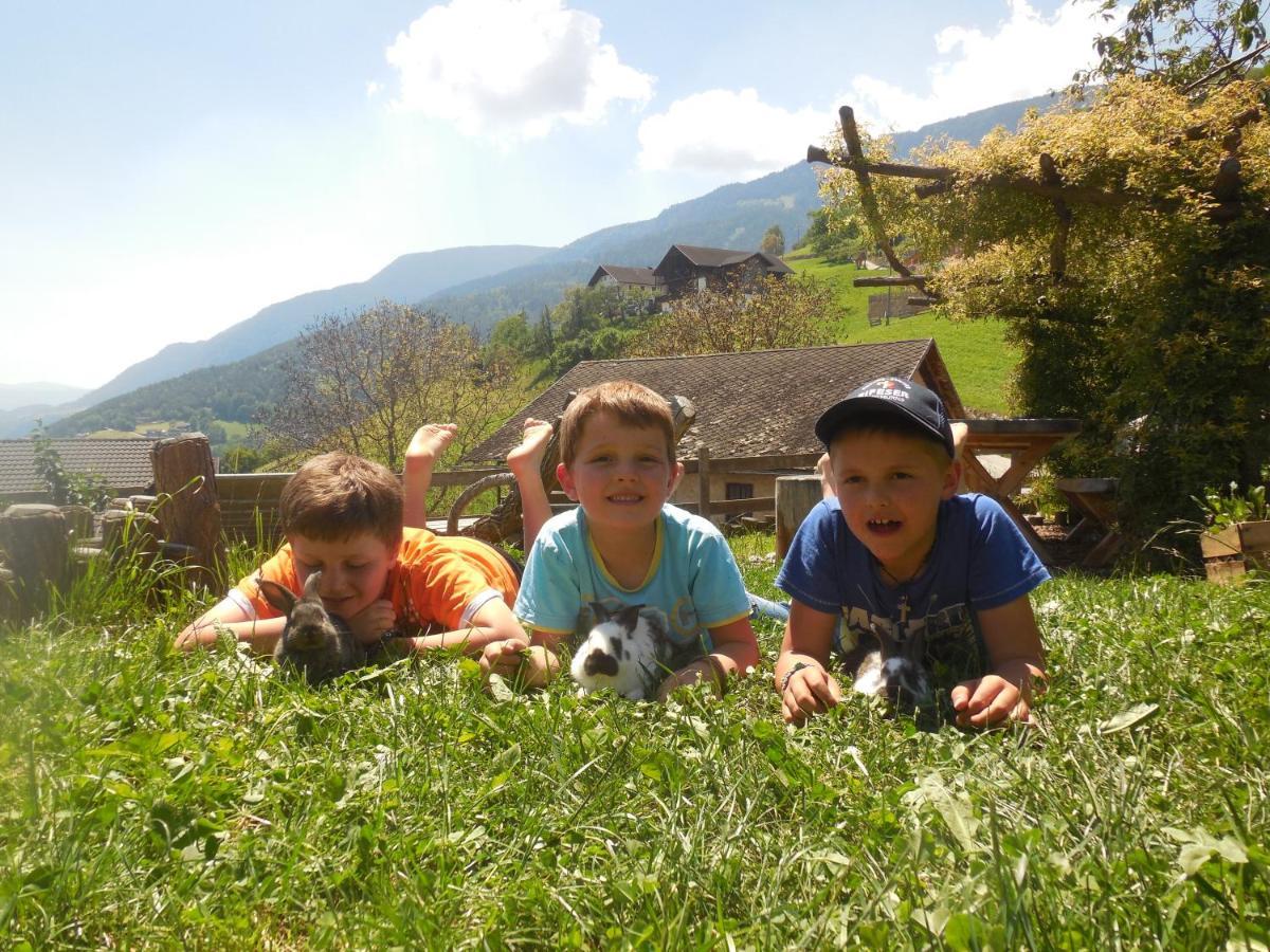Schweiggerhof -Agriturismo- Farm Holidays Villandro Dış mekan fotoğraf
