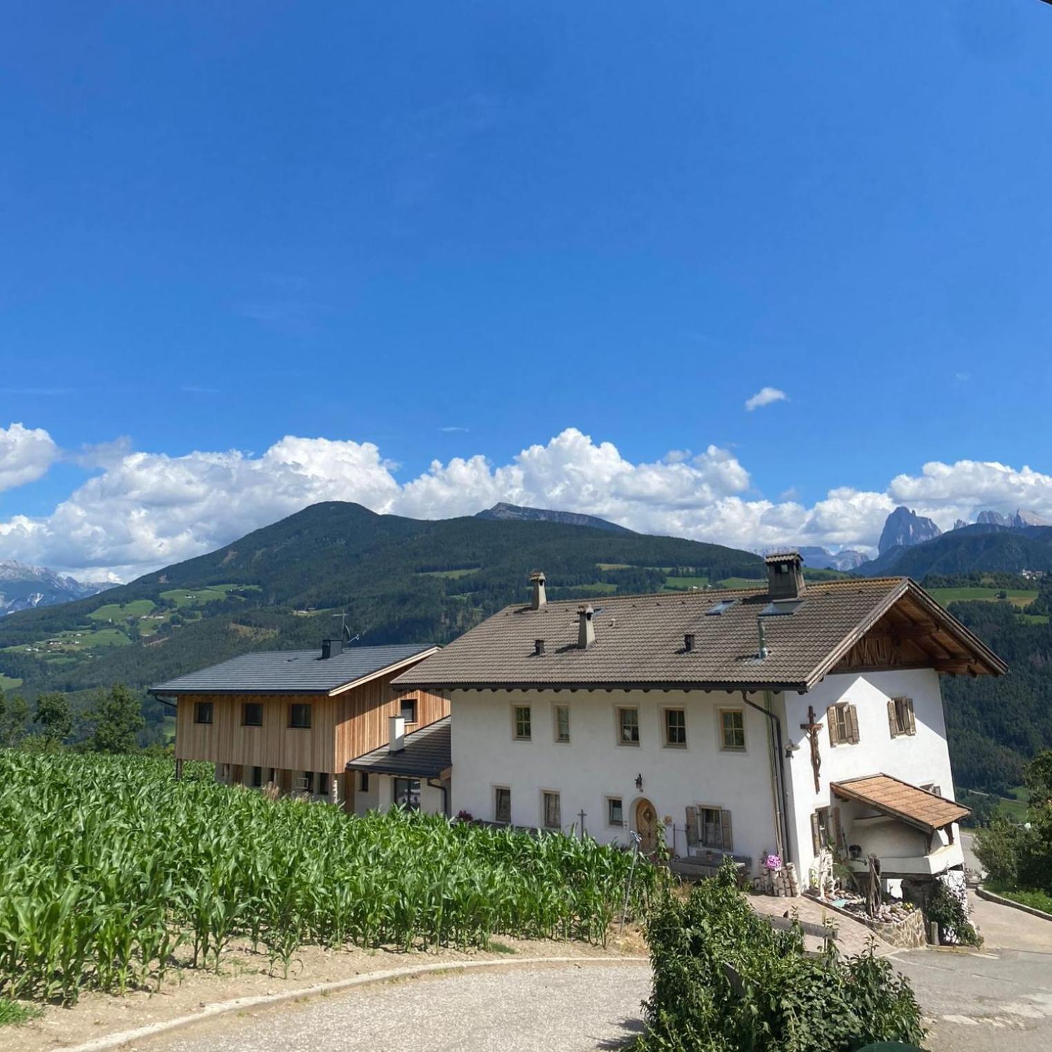 Schweiggerhof -Agriturismo- Farm Holidays Villandro Dış mekan fotoğraf
