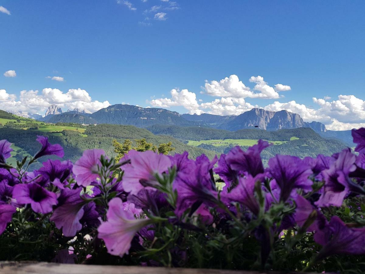 Schweiggerhof -Agriturismo- Farm Holidays Villandro Dış mekan fotoğraf
