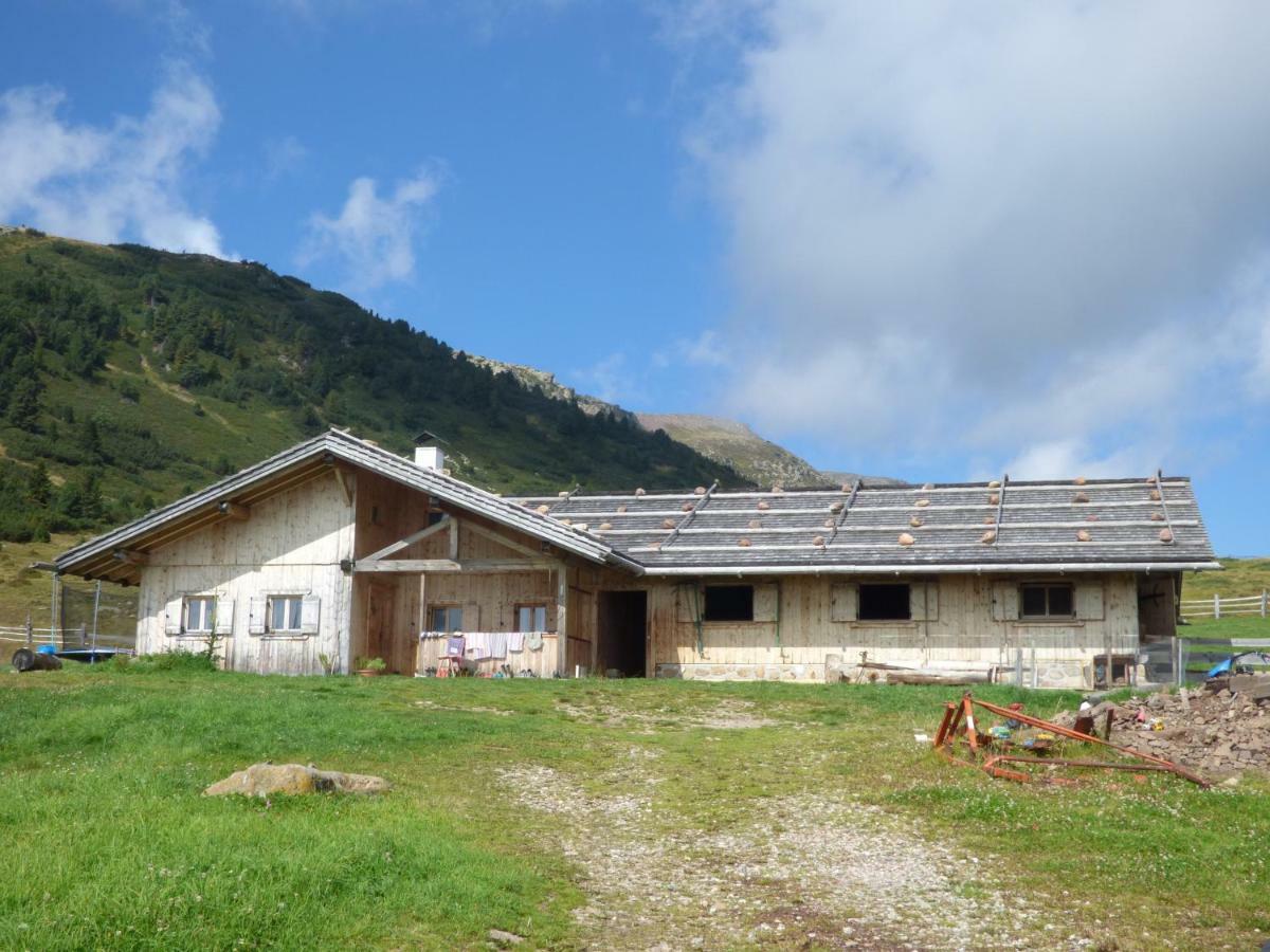 Schweiggerhof -Agriturismo- Farm Holidays Villandro Dış mekan fotoğraf